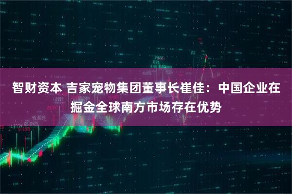 智财资本 吉家宠物集团董事长崔佳：中国企业在掘金全球南方市场存在优势