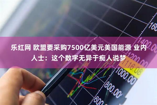 乐红网 欧盟要采购7500亿美元美国能源 业内人士：这个数字无异于痴人说梦