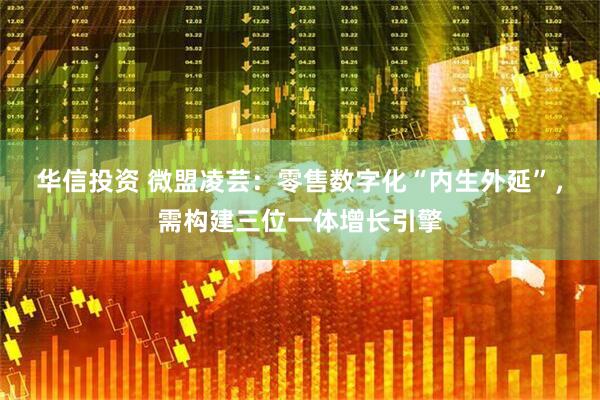 华信投资 微盟凌芸：零售数字化“内生外延”，需构建三位一体增长引擎