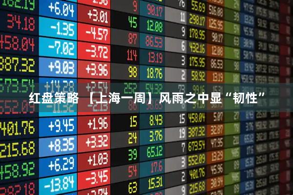 红盘策略 【上海一周】风雨之中显“韧性”
