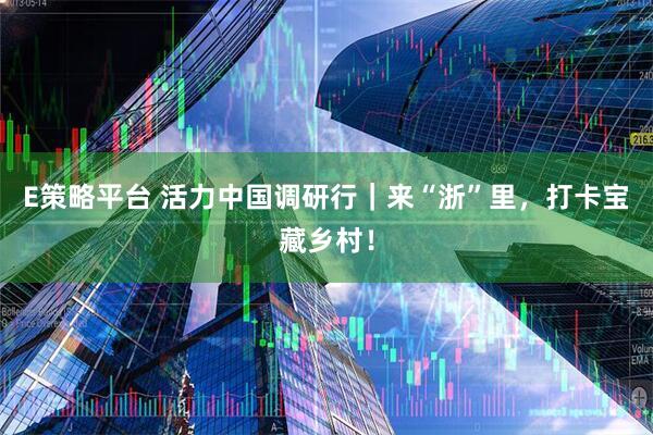 E策略平台 活力中国调研行｜来“浙”里，打卡宝藏乡村！