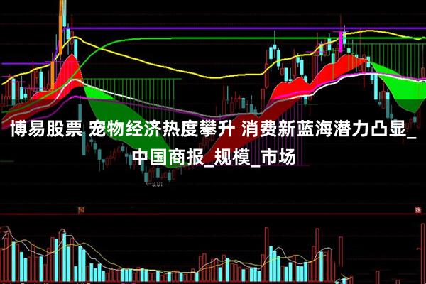 博易股票 宠物经济热度攀升 消费新蓝海潜力凸显_中国商报_规模_市场