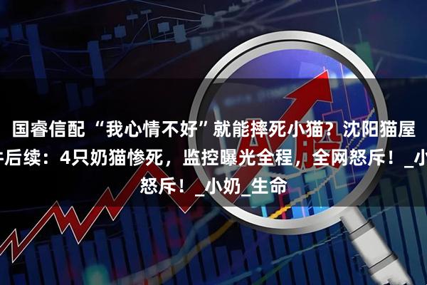 国睿信配 “我心情不好”就能摔死小猫？沈阳猫屋虐猫事件后续：4只奶猫惨死，监控曝光全程，全网怒斥！_小奶_生命