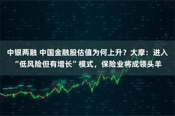 中银两融 中国金融股估值为何上升？大摩：进入“低风险但有增长”模式，保险业将成领头羊