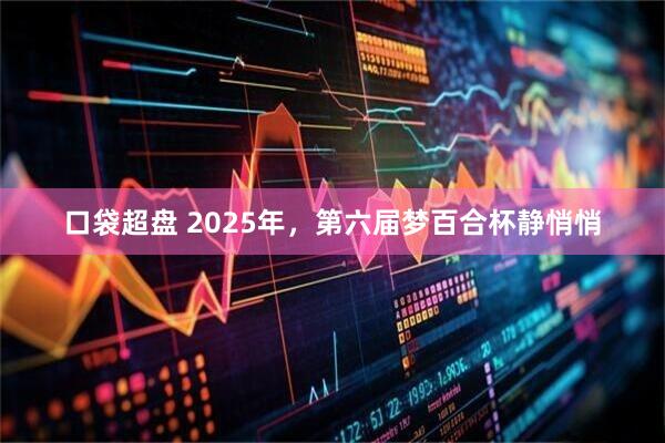 口袋超盘 2025年，第六届梦百合杯静悄悄