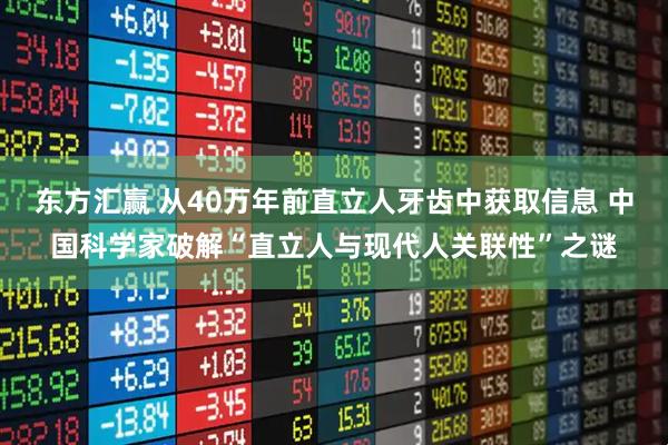 东方汇赢 从40万年前直立人牙齿中获取信息 中国科学家破解“直立人与现代人关联性”之谜